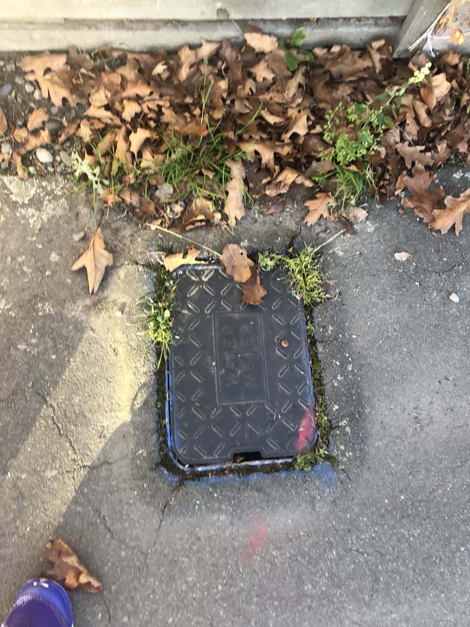 The photograph attached to this water supply report