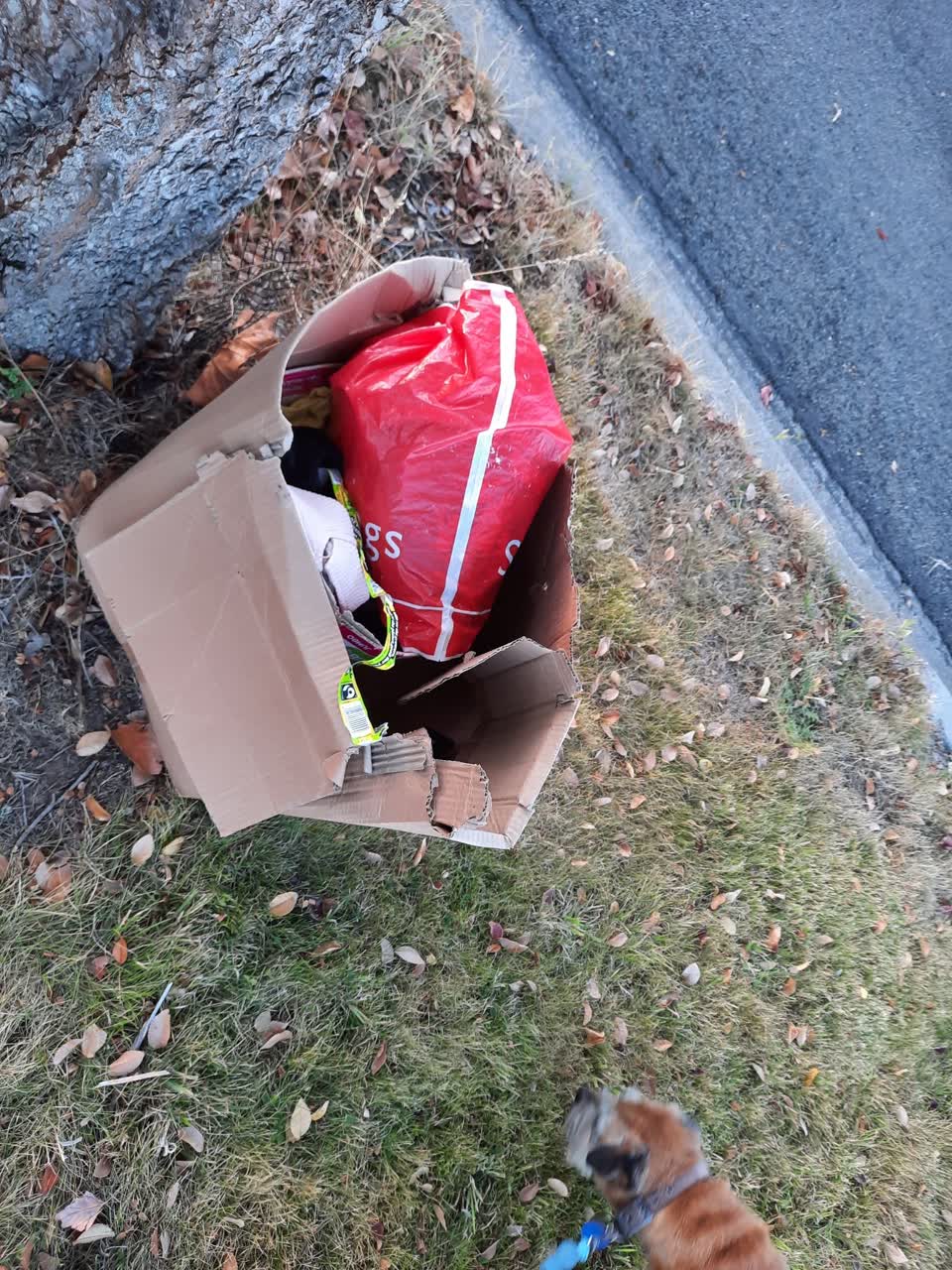 The photograph attached to this rubbish/recycling report
