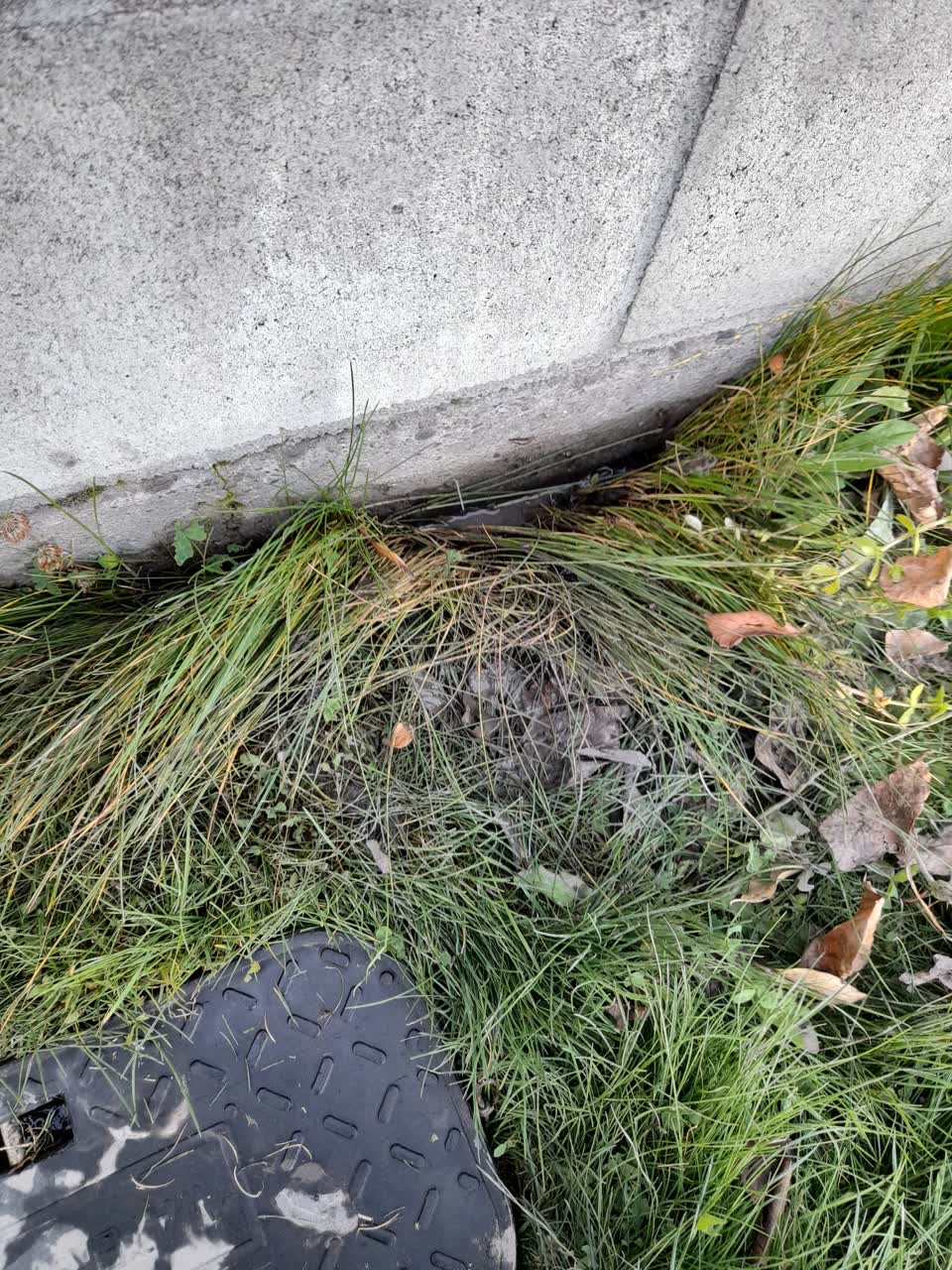 The photograph attached to this water leak report