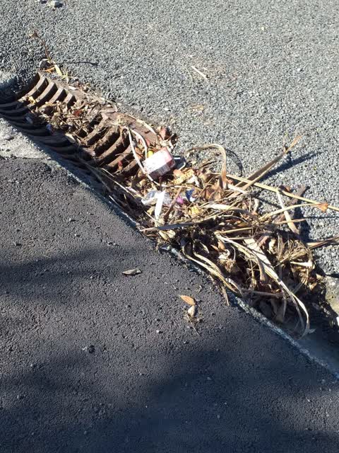 Wastewater/Stormwater, a report photo
