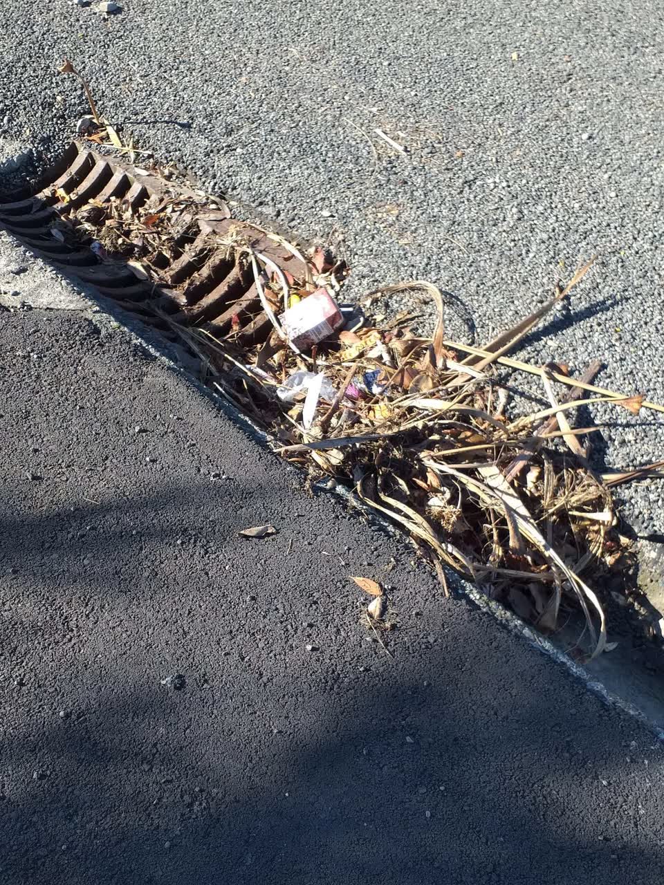 The photograph attached to this wastewater/stormwater report