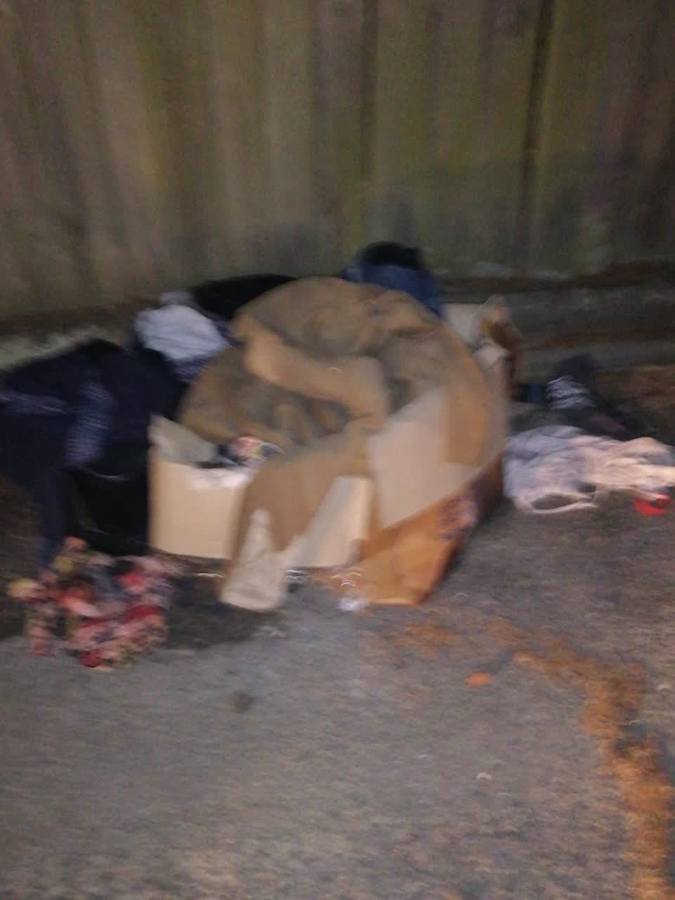 The photograph attached to this rubbish/recycling report