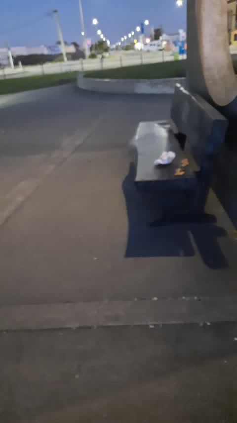 Rubbish/Recycling — a report photo
