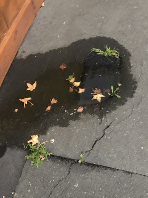 Water Leak, a report photo