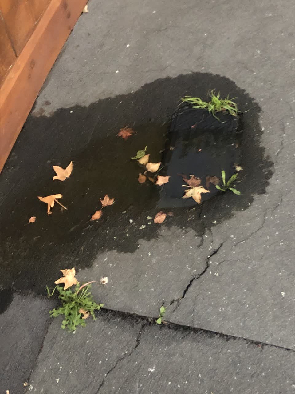 The photograph attached to this water leak report