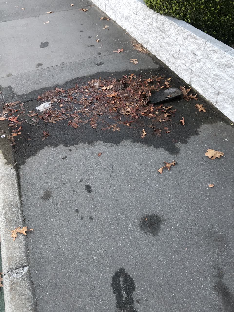 The photograph attached to this water leak report