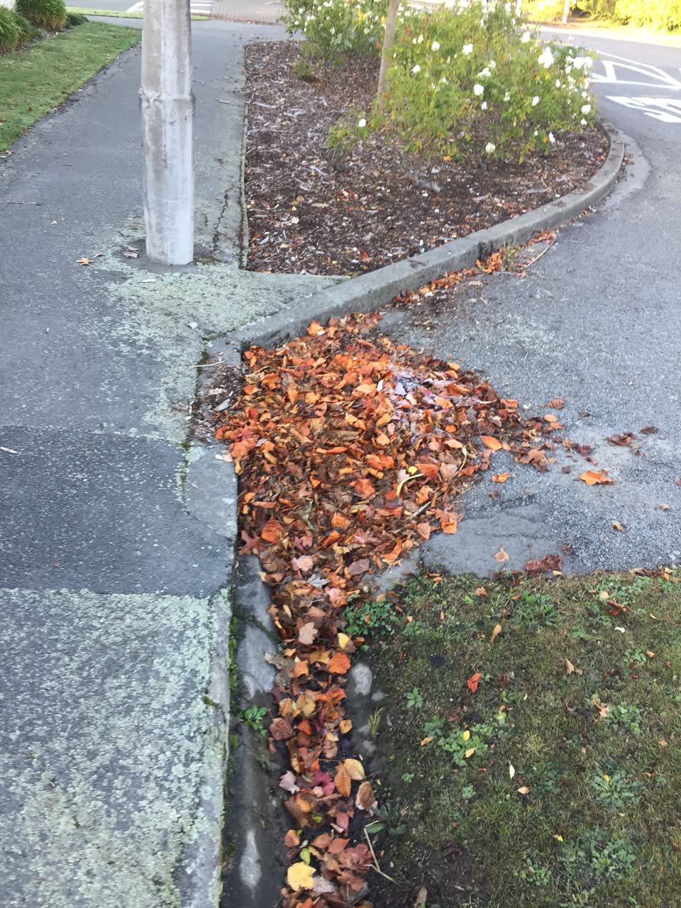 The photograph attached to this flooding report