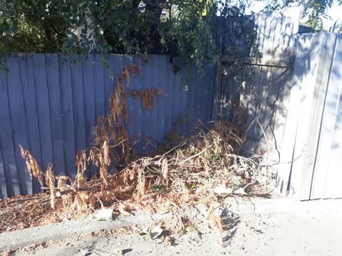 Rubbish/Recycling — a report photo