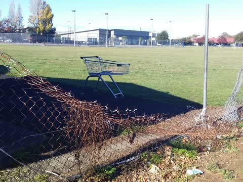 Parks, a report photo