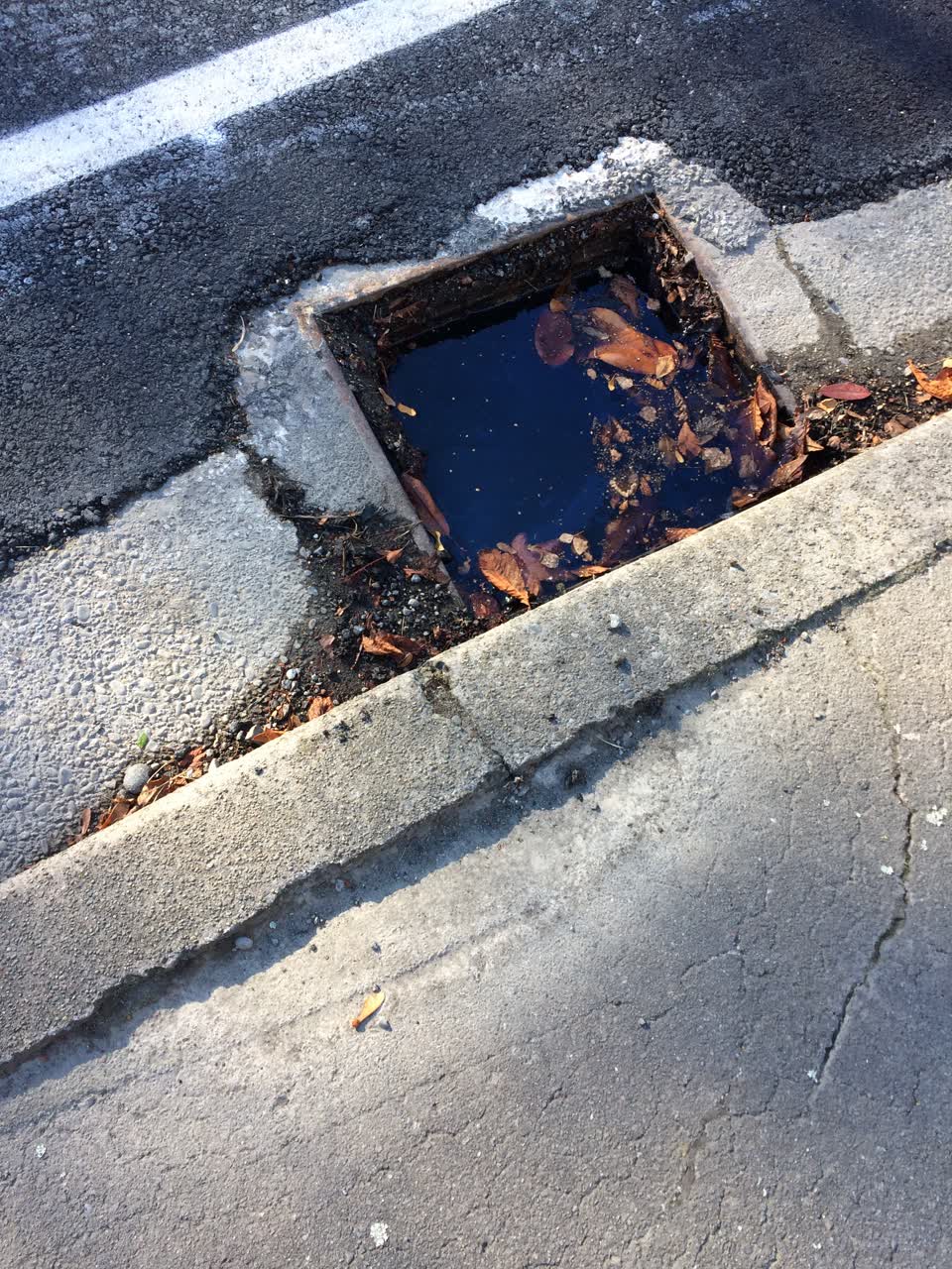 The photograph attached to this sewer - general report