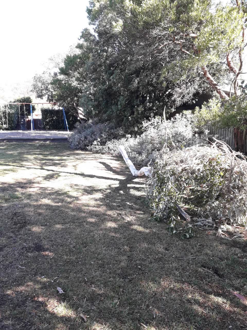 The photograph attached to this parks report