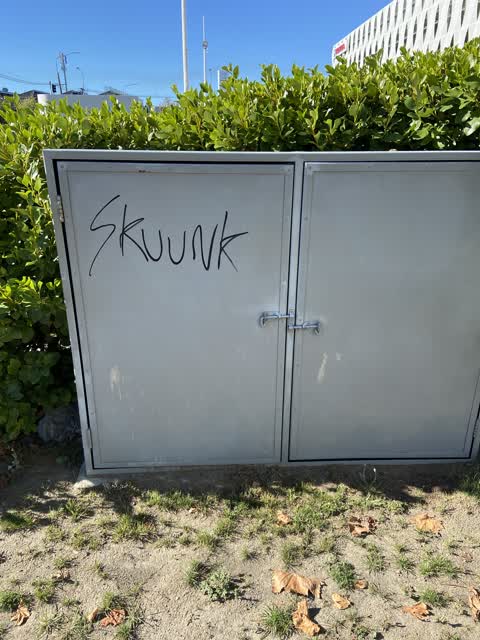 Graffiti, a report photo