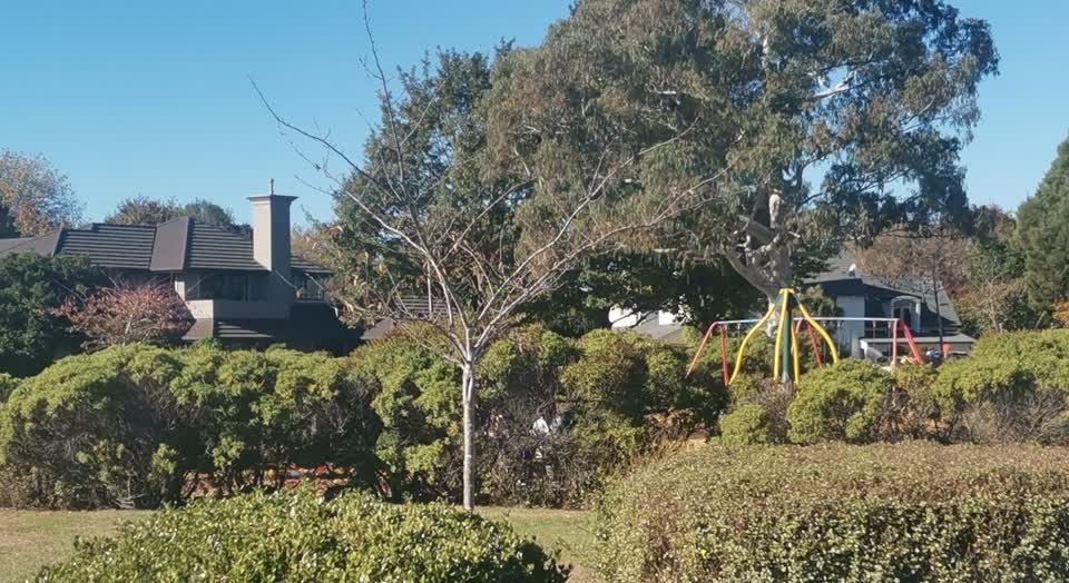 The photograph attached to this parks report