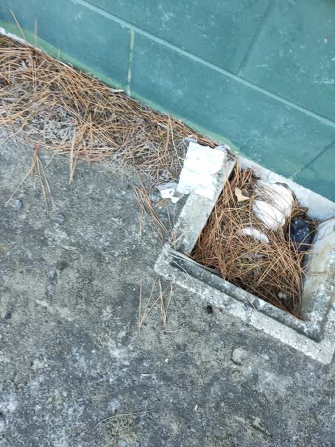 Parks — a report photo