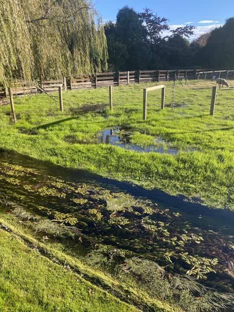 Flooding, a report photo
