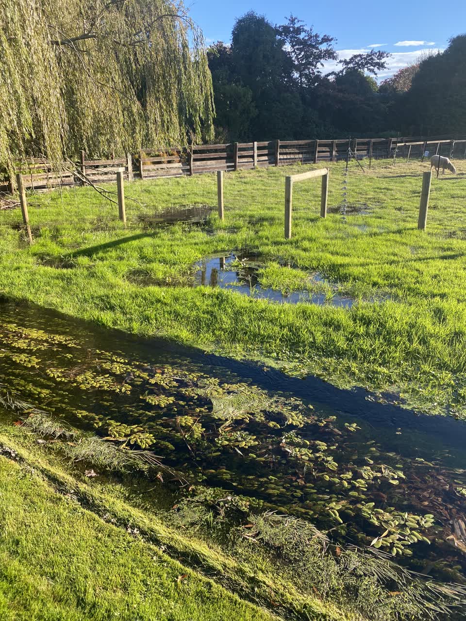 The photograph attached to this flooding report