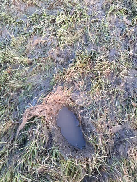 Parks, a report photo