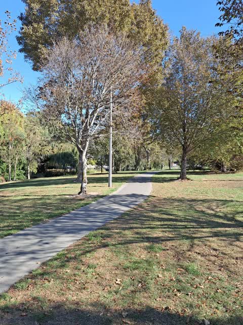 Parks, a report photo