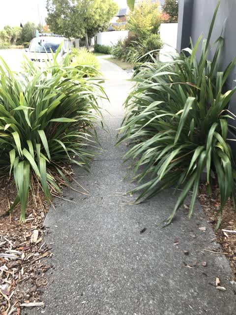 Parks, a report photo