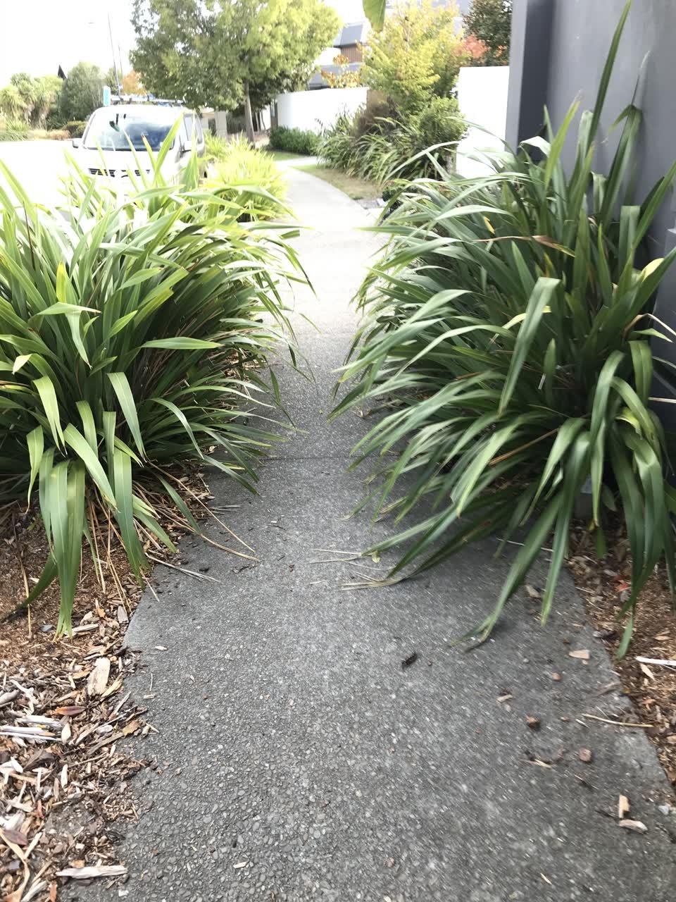 The photograph attached to this parks report