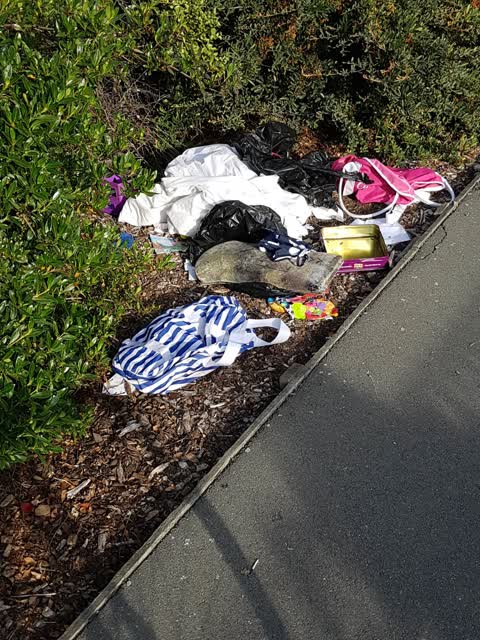 Rubbish/Recycling, a report photo
