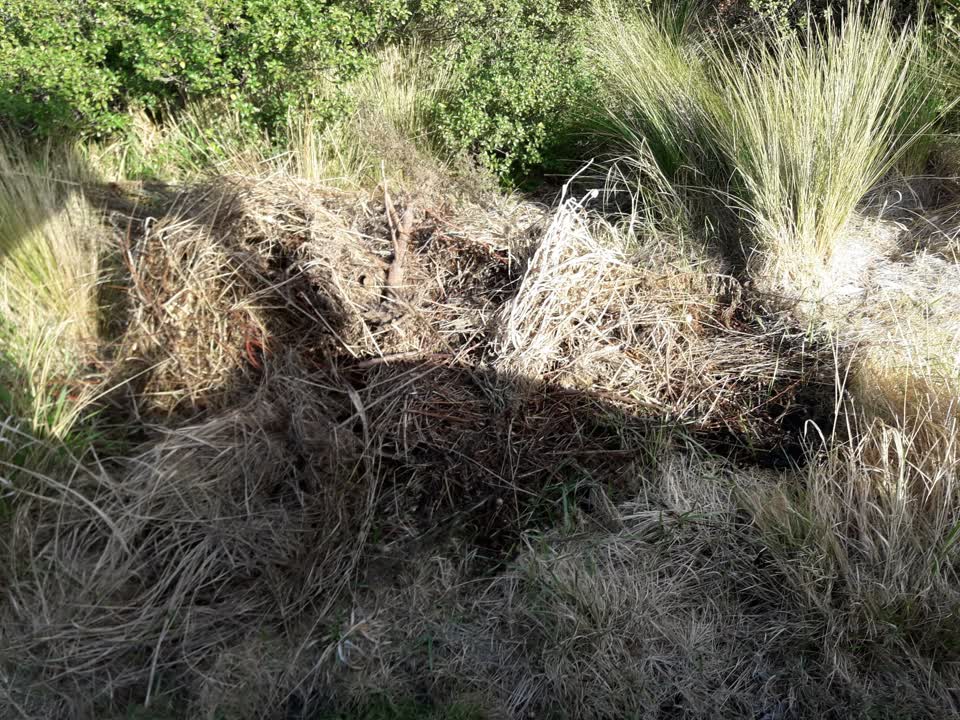 The photograph attached to this parks report