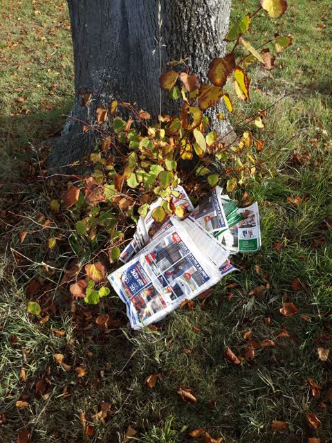 Rubbish/Recycling — a report photo