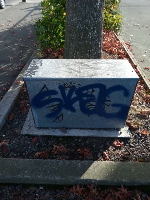 Graffiti, a report photo