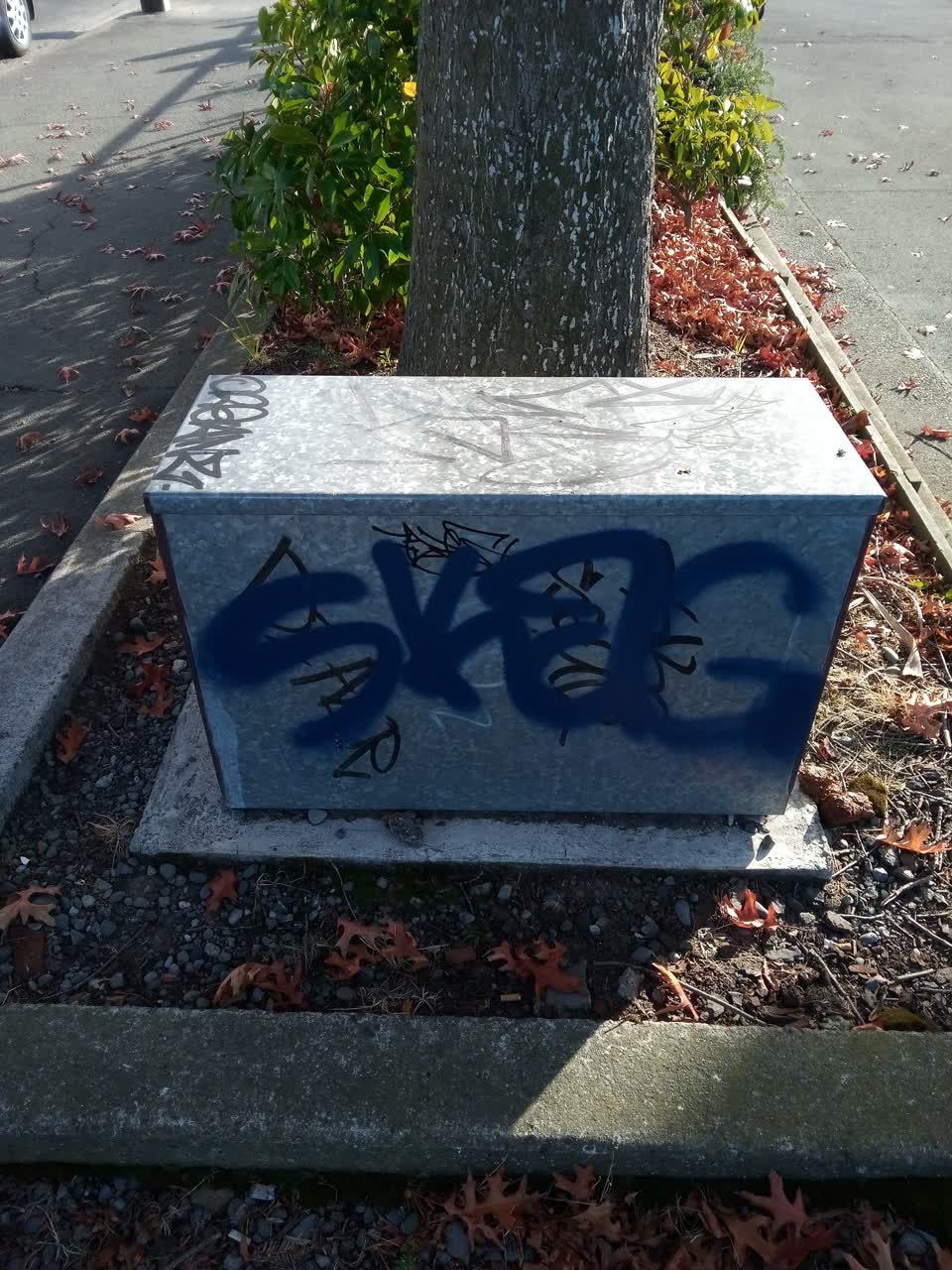 The photograph attached to this graffiti report