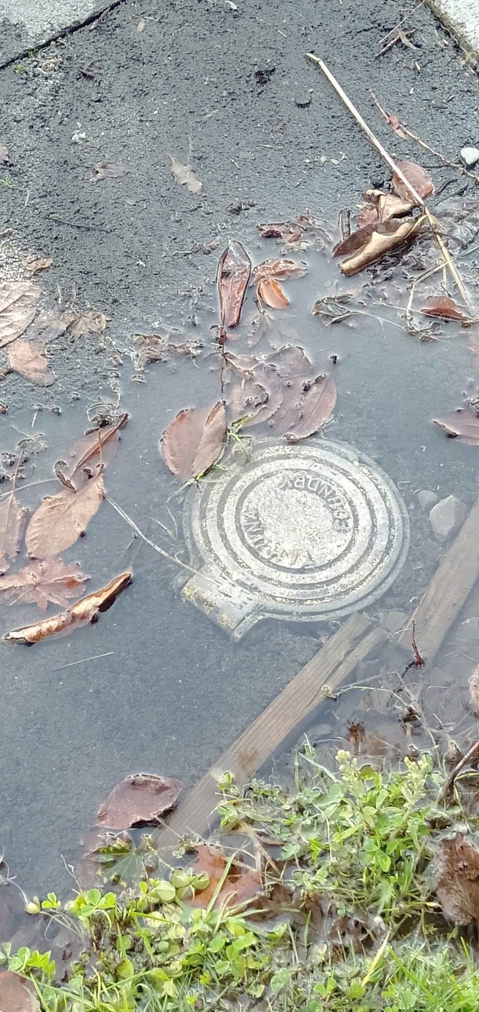 The photograph attached to this water leak report