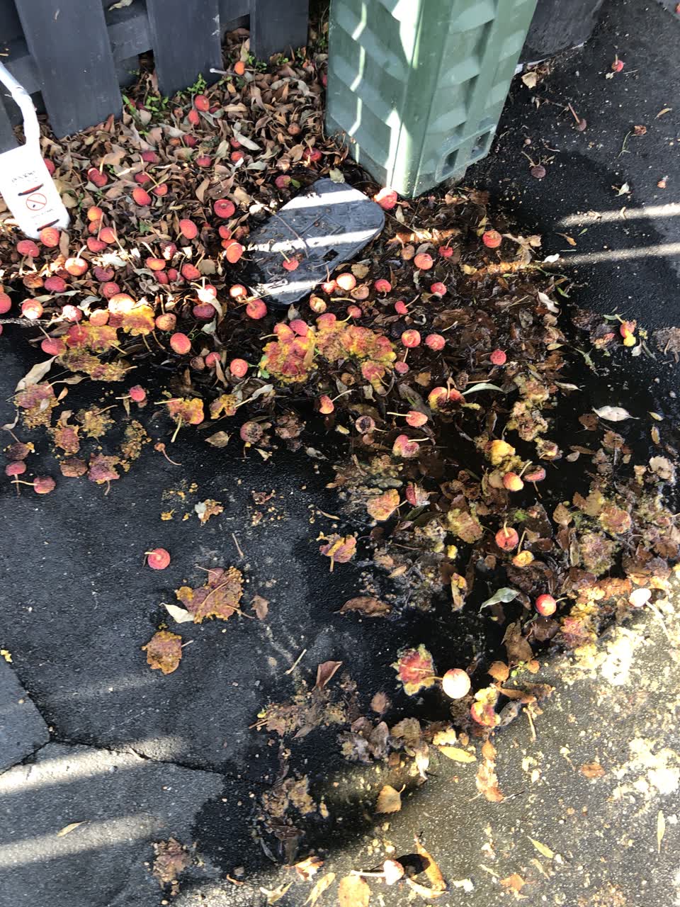 The photograph attached to this water leak report