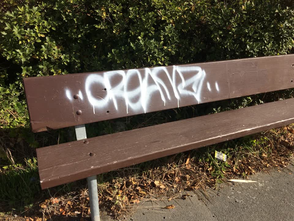 The photograph attached to this graffiti report