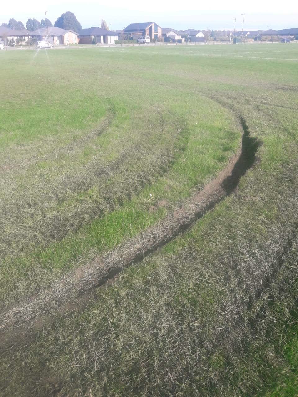 The photograph attached to this parks report