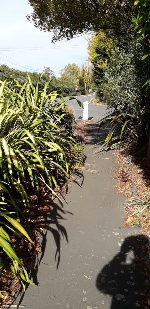 Roading/Streets, a report photo