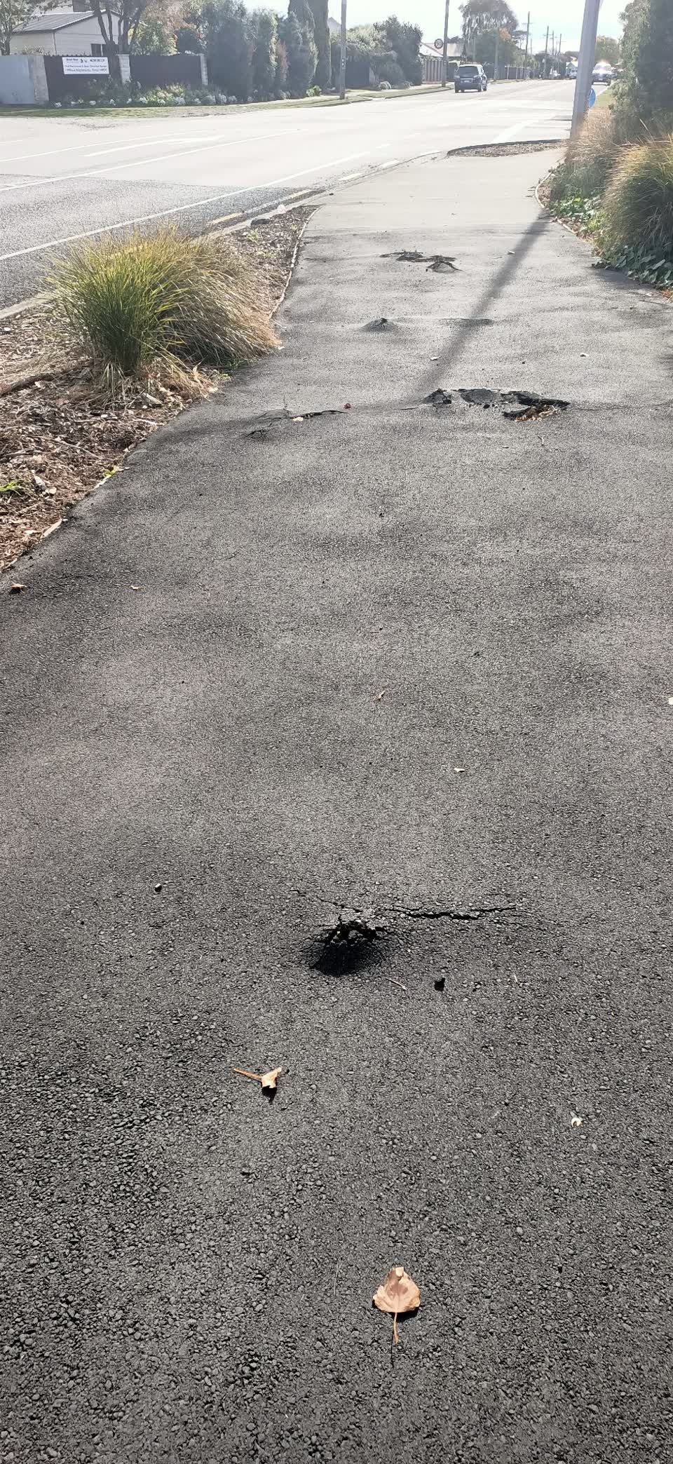 The photograph attached to this roading/streets report
