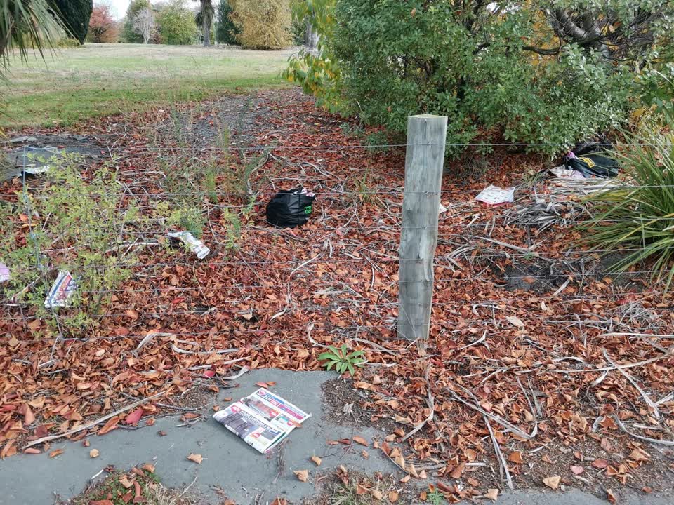 The photograph attached to this rubbish/recycling report