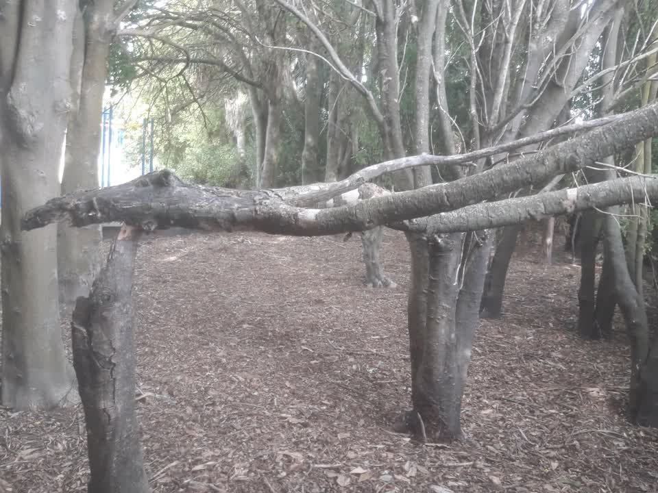 The photograph attached to this parks report