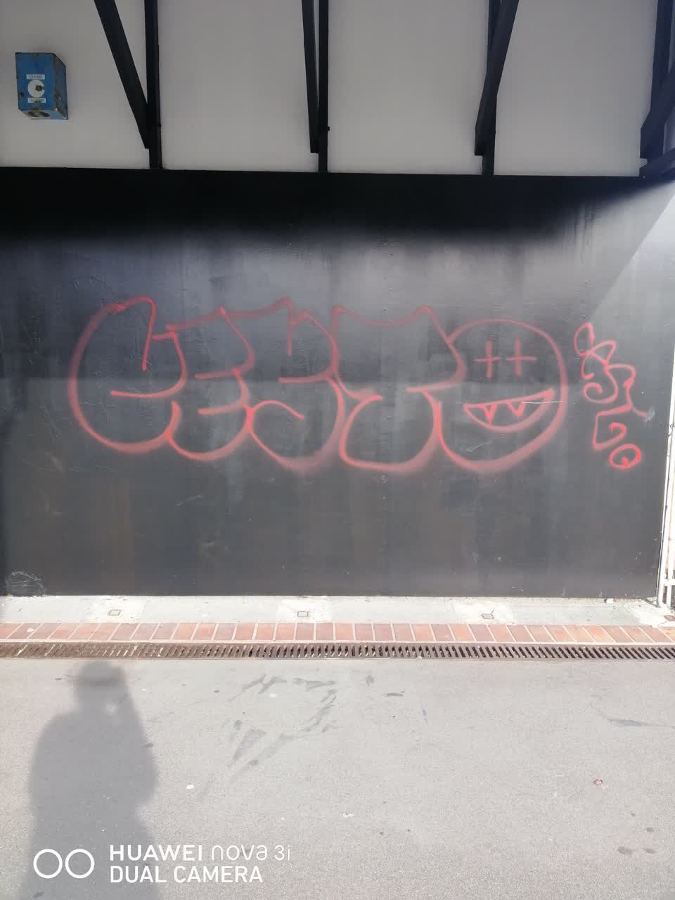 The photograph attached to this graffiti report