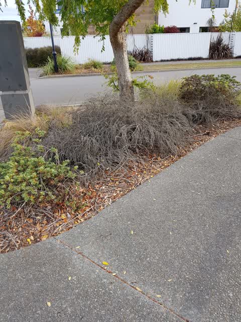 Parks, a report photo