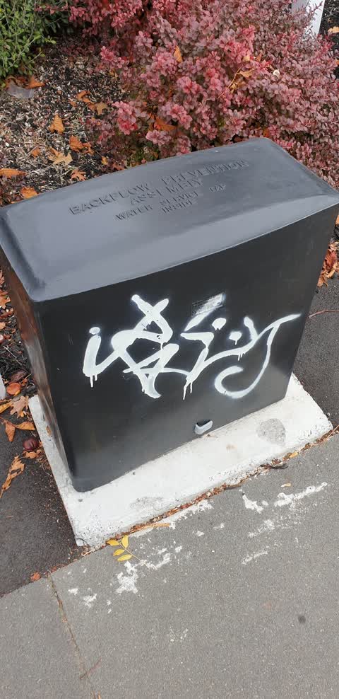 Graffiti, a report photo