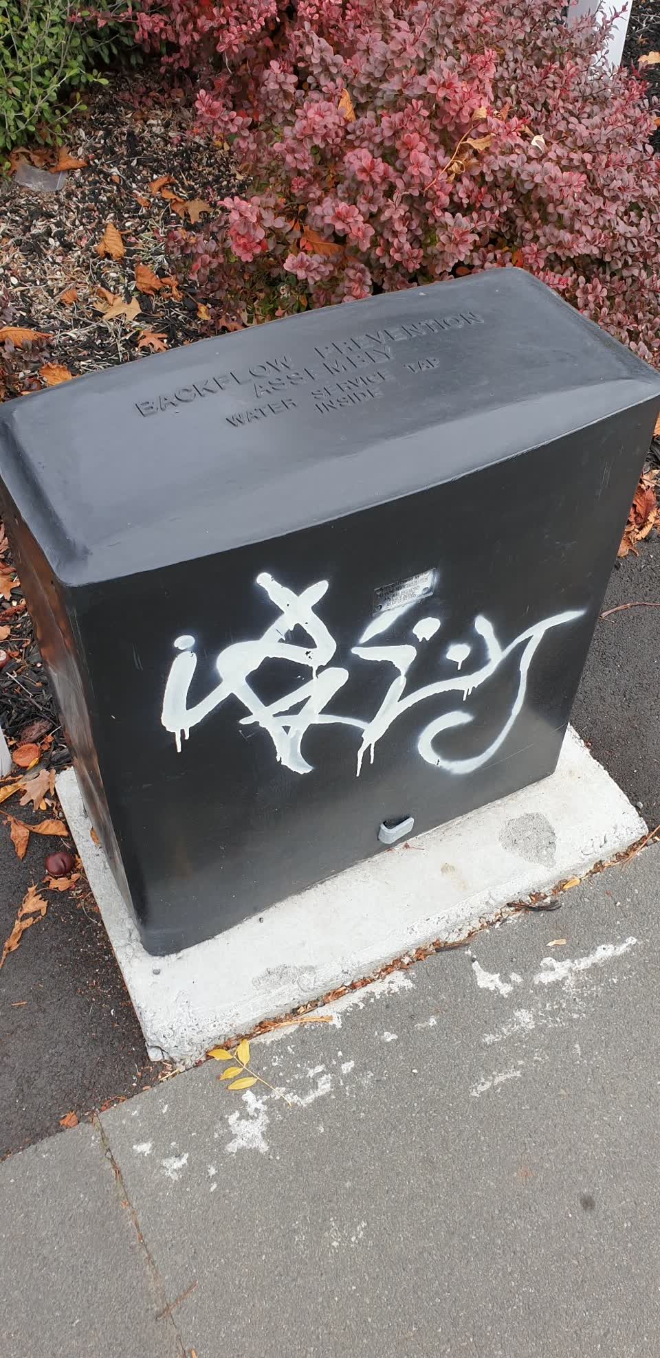 The photograph attached to this graffiti report