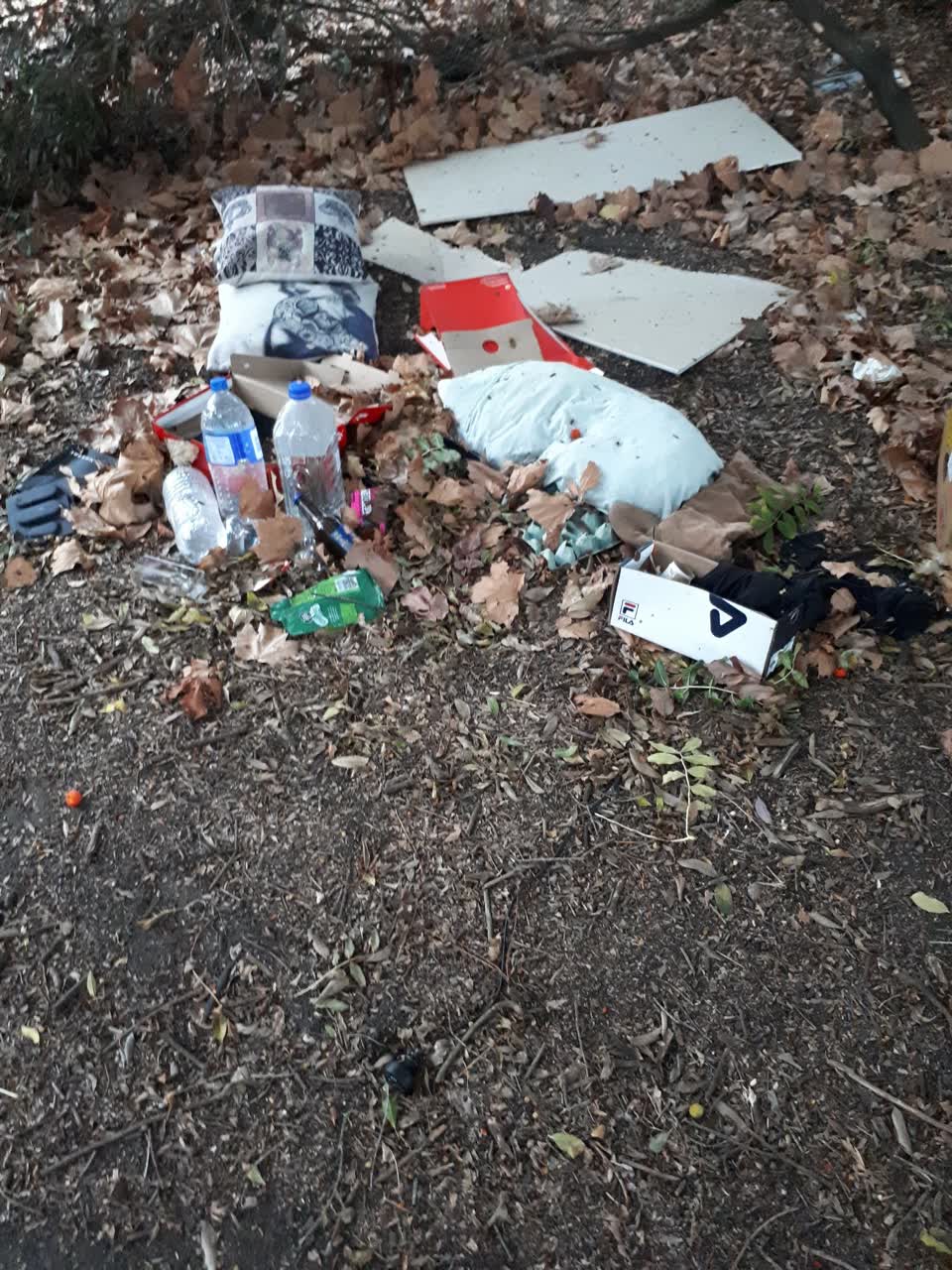 The photograph attached to this rubbish/recycling report