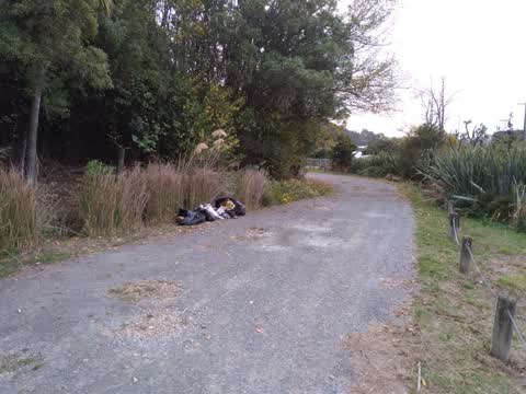 Parks — a report photo