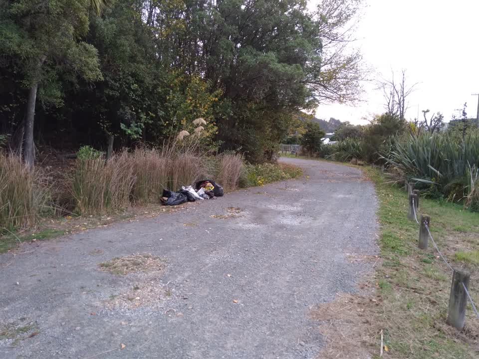 The photograph attached to this parks report