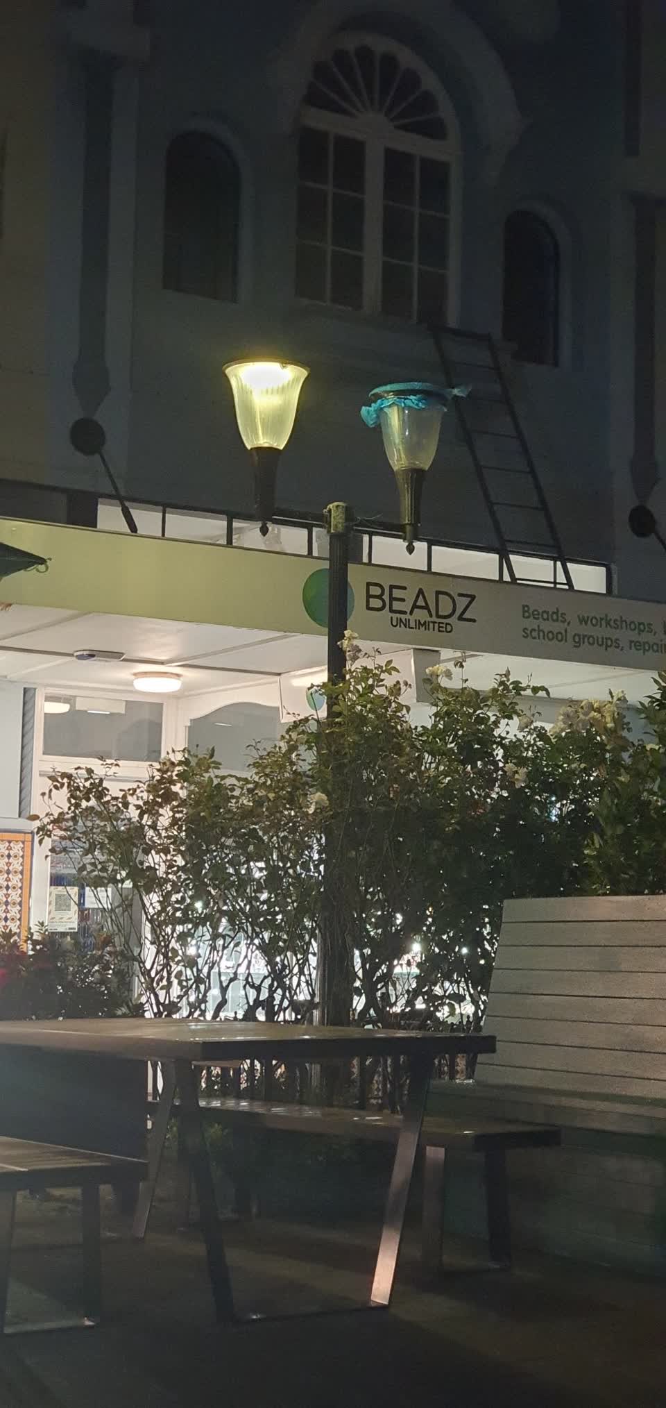 The photograph attached to this street light outage report