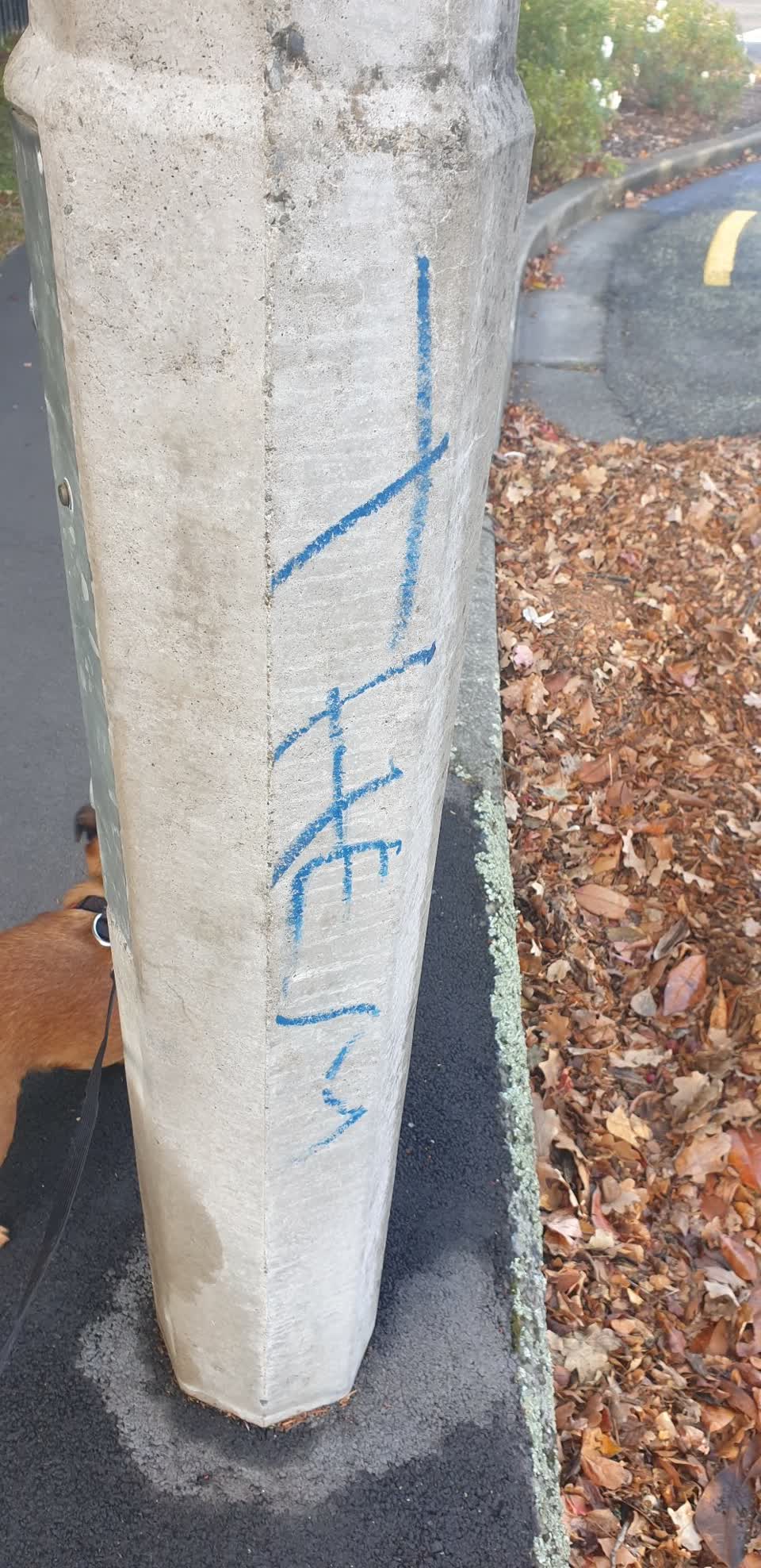 The photograph attached to this graffiti report