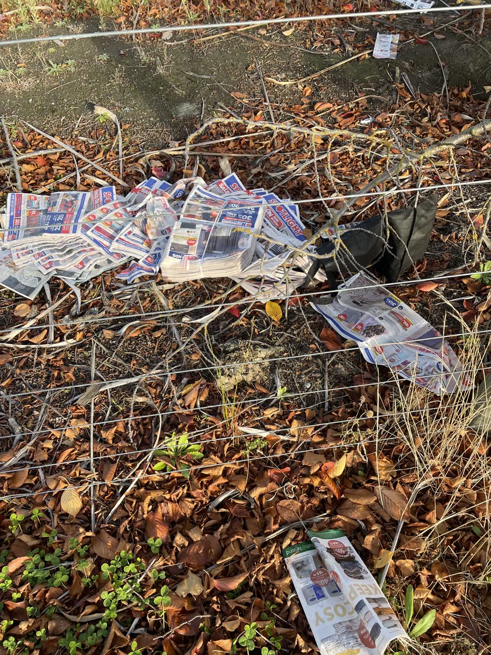 The photograph attached to this rubbish/recycling report