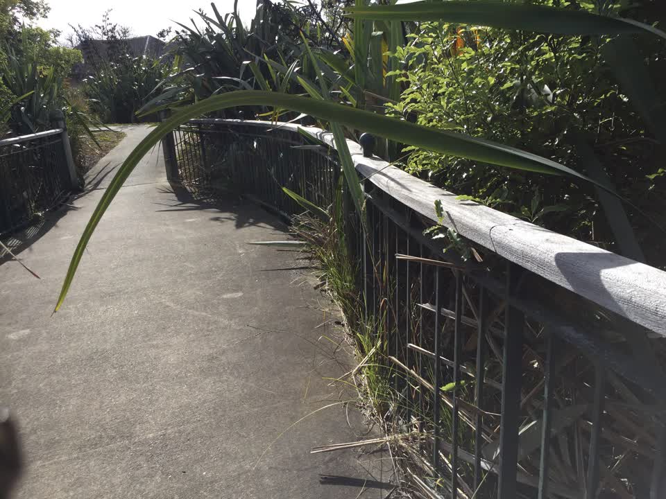 The photograph attached to this parks report