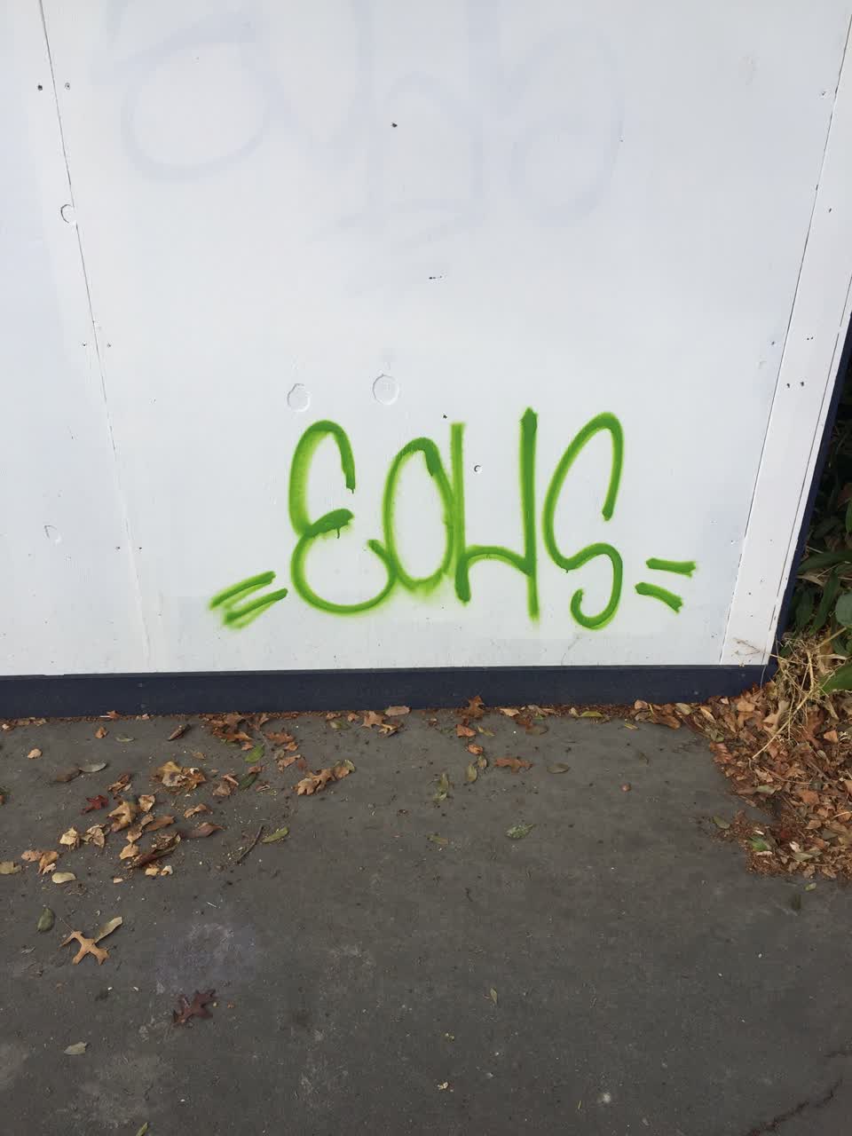 The photograph attached to this graffiti report