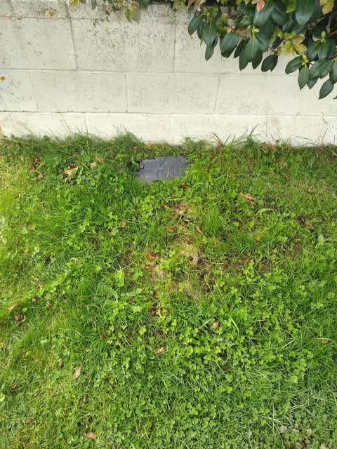 Water Leak, a report photo